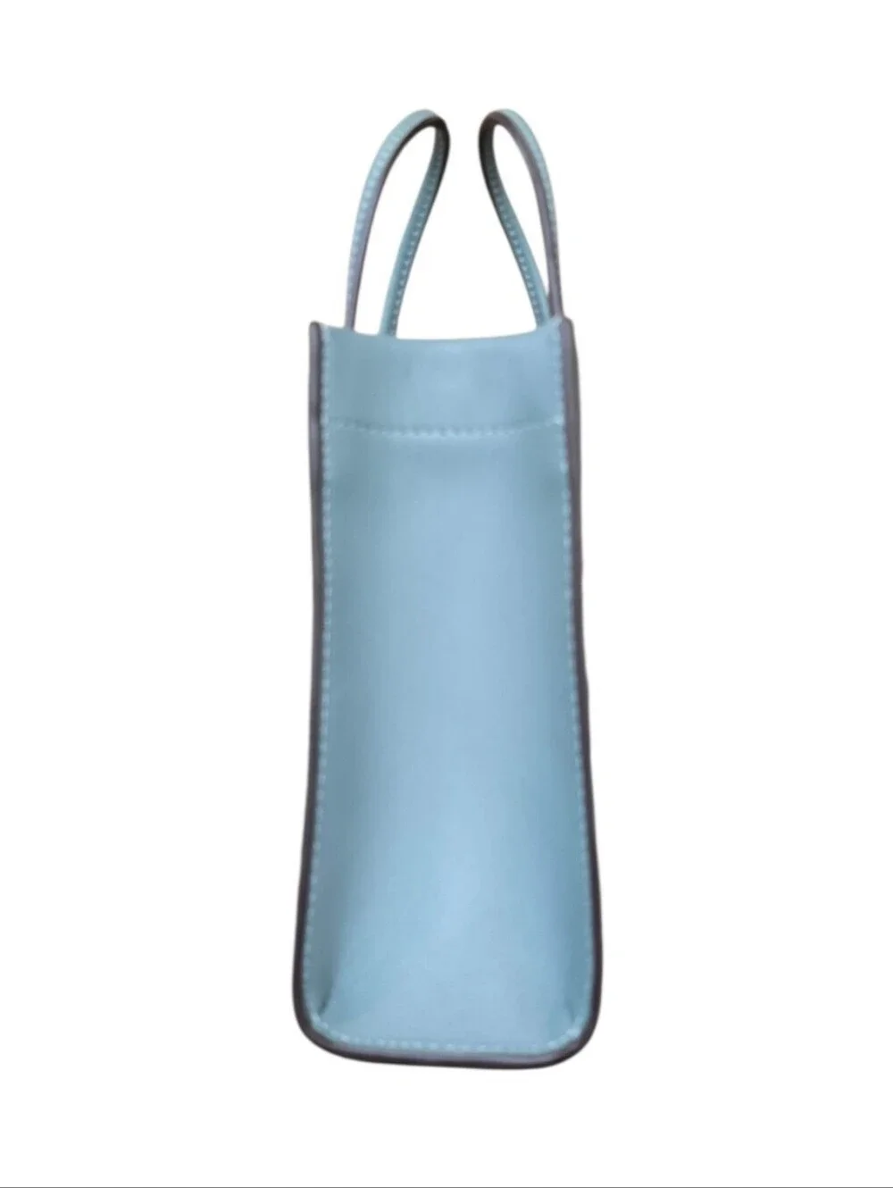 Coach Cashin Sage Green Blue Leather Mini Crossbody Tote